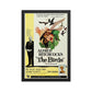 The Birds (1963) Black Frame 24″×36″ Movie Poster